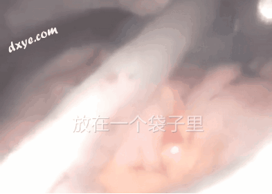 1651217486163525.png image.png