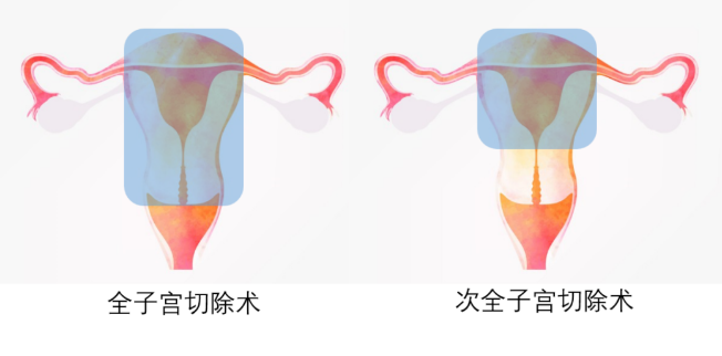 1691372601954817.png image.png