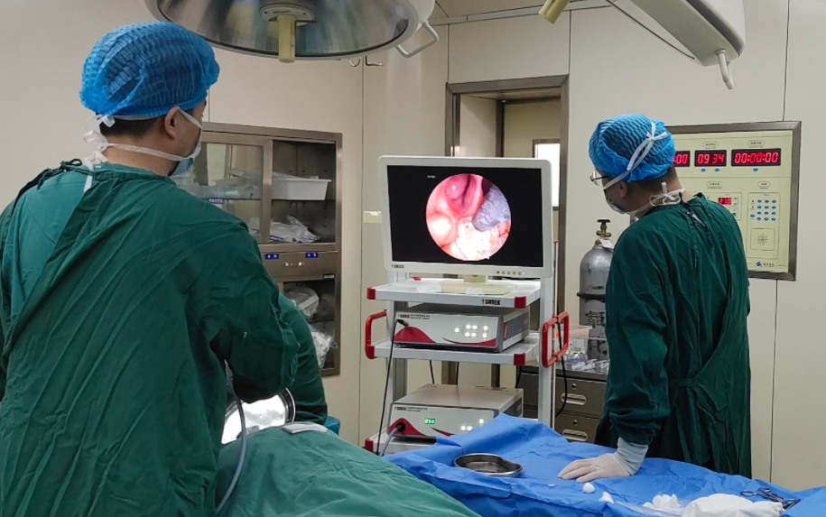 [Otolaryngology Nasal Endoscopy] Methods and Precautions for Nasal Bleeding Control under Nasal Endo
