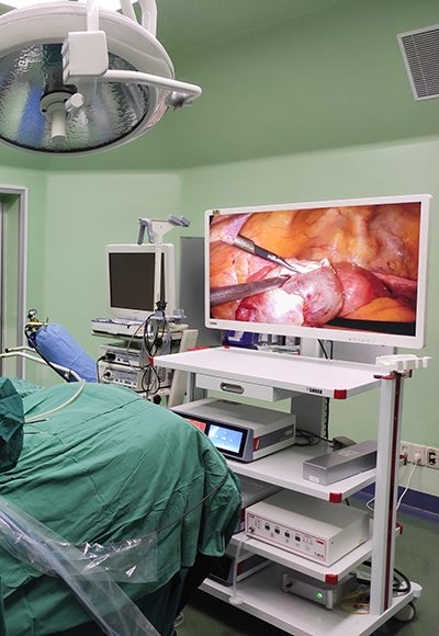 4K UHD Medical Endoscope Monitor 43＂