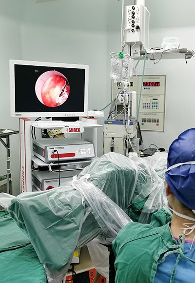 Medical FHD Endoscope Monitor 24＂