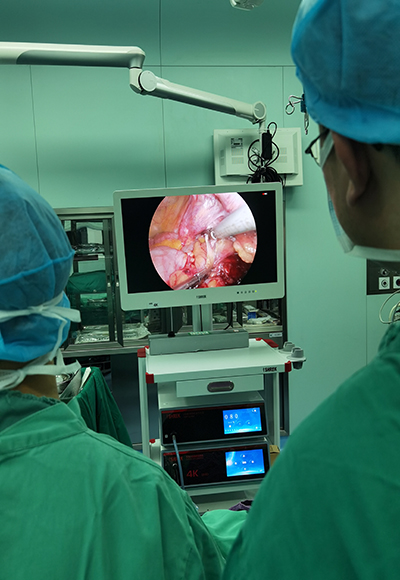 Endoscope LED Cold Light Source 150W