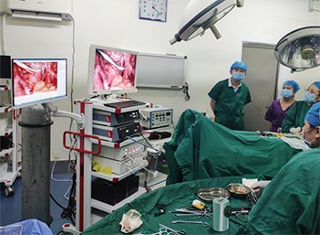 Endoscopy Heater