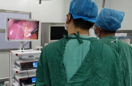 [Laparoscopic Surgery] Laparoscopic Cholecystectomy